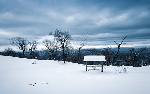 冬天风景黑白冰雪高清图片