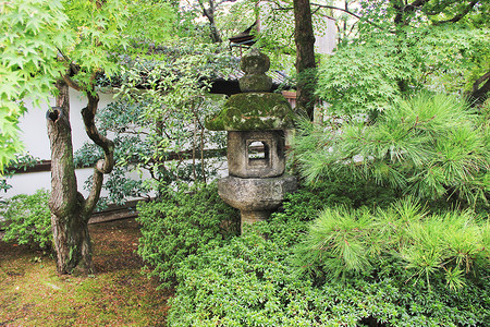 宫廷花园京都御所御内庭背景