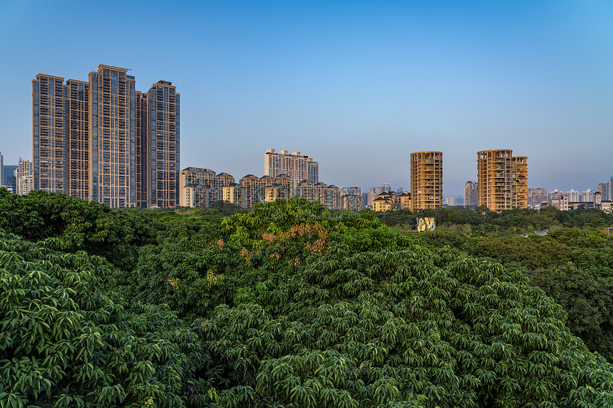 深圳城市建筑图片