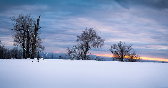 冬日暖阳雪景背景图片
