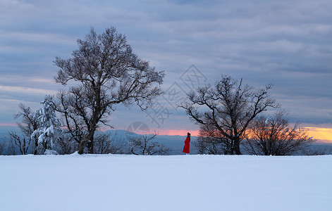 冬日暖阳雪景背景图片