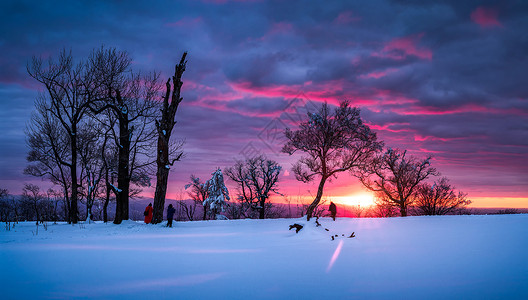 冬日夕阳冬日暖阳雪景背景