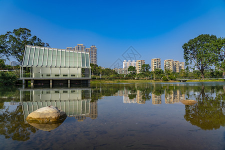 深圳香蜜公园城市水高清图片素材