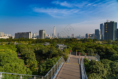 深圳香蜜公园景观高清图片