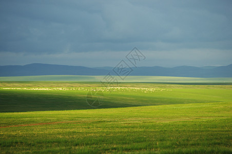 贵州乌蒙大草内蒙古东乌珠穆沁和乌里雅斯太山背景