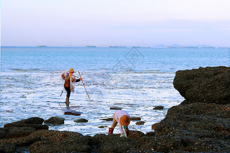 海边沙滩挖蛤蜊背景图片