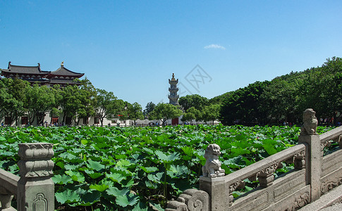 普陀山园林风光背景图片