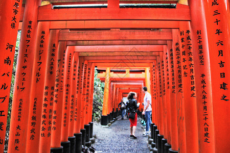 日本京都伏见稻荷大社千鸟居古建高清图片素材