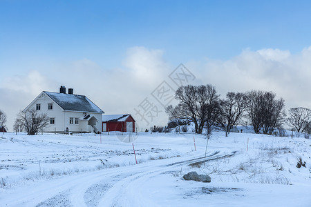 北欧农场北极圈挪威冬季雪景背景