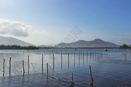 水产画册越南岘港水产养殖场背景