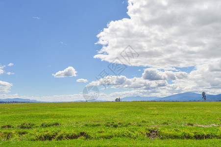 加州风光美国西部草原背景