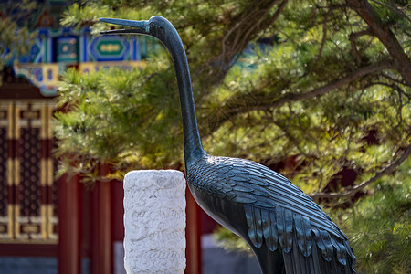 北京景山公园寿皇殿仙鹤雕塑背景图片