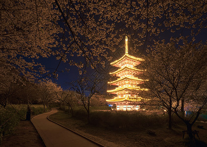 日式建筑五重塔樱花季春天风景高清图片素材