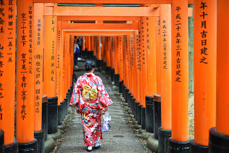 古代美女素材日本京都伏见稻荷大社千鸟居和服少女背景