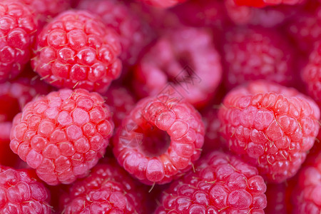 树莓背景食物树莓高清图片