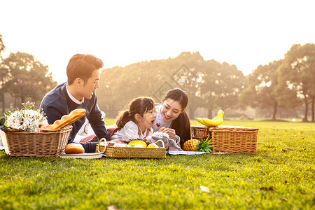 家庭欢乐野餐背景图片