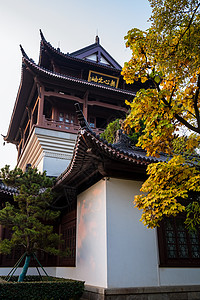 春天的晴川阁风景区建筑图片