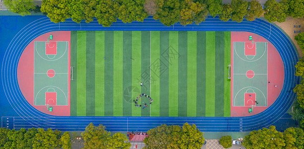 公园绿树环绕的标准足球场运动场背景