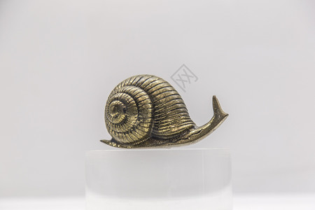 大连贝壳博物馆金属蜗牛装饰品（该图片未获得物权， 不建议商用）背景
