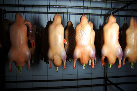烤鸭制作过程背景图片