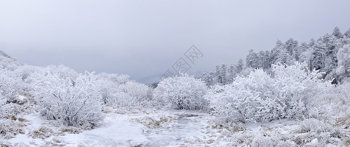 秦岭山冬天雾凇图片