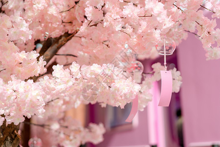 商业中心樱花季粉色樱花图片