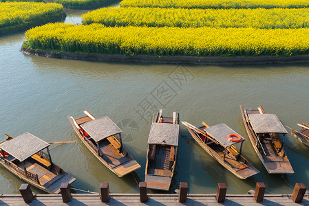 江苏兴化岸边的游船背景图片
