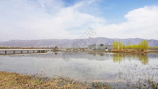 水川黄河湿地公园背景图片