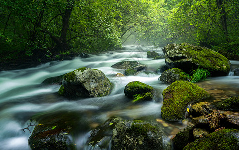 春风又绿江南岸湖泊溪流瀑布背景