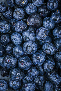 蓝莓特写水果高清图片素材