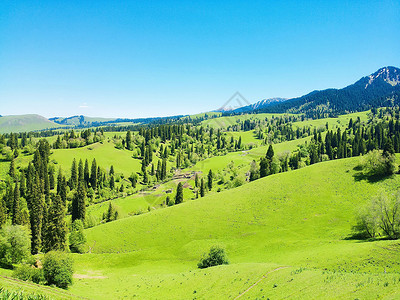 新疆那拉提草原背景图片