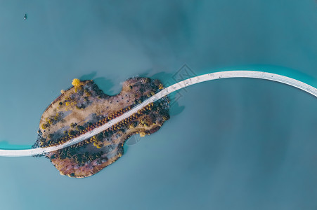 单板琴航拍合肥翡翠湖琴岛背景