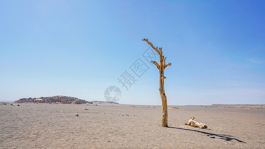 新疆哈密魔鬼城戈壁滩背景图片