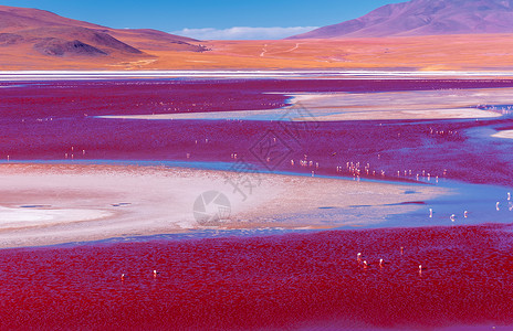 玻利维亚乌尤尼红湖景色高清图片