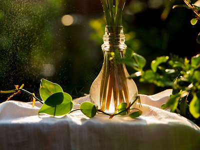 透明绿叶素材花瓶背景