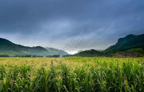 田园风景山峦高清图片素材