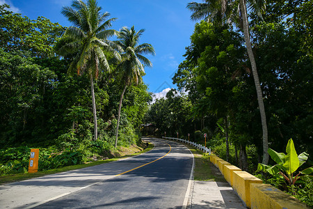 林荫道路小镇马路高清图片素材