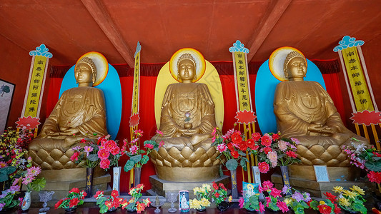 新疆伊犁靖远寺背景