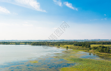 阳澄湖走起苏州阳澄湖背景