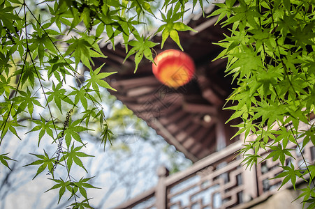 枫叶与中国古代建筑图片