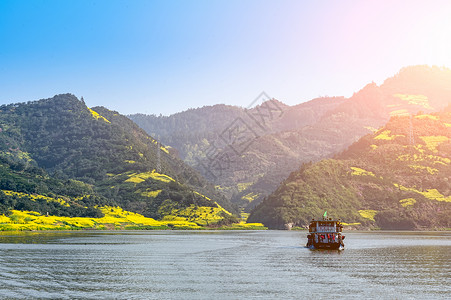 日本樱花风光春天的古徽州新安江山水画廊万亩油菜花开背景