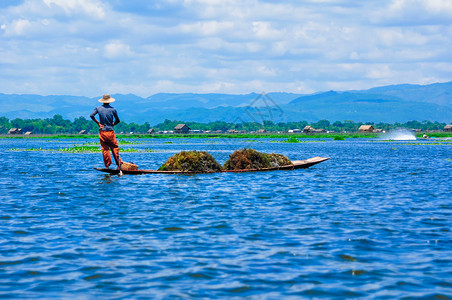 缅甸茵莱湖捕鱼人自然高清图片素材