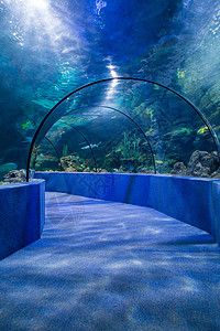 海底观光隧道背景图片
