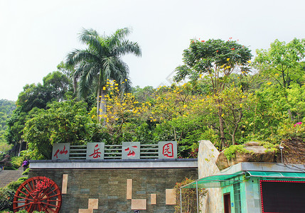 厦门仙岳公园生长高清图片素材