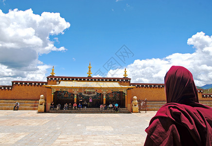 教徒拉萨寺庙喇嘛背影背景