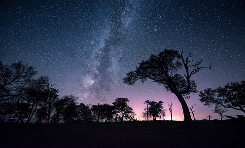 星空银河繁星满天树夜景高清图片