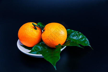 orange橙子背景