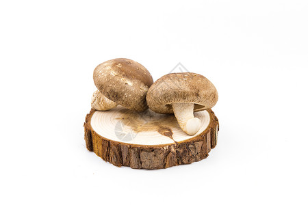 白底食用菌菇背景图片