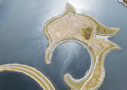 湖滨绿地海豚形状图片