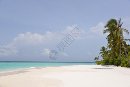马尔代夫水屋马尔代夫芙拉瓦丽度假岛背景